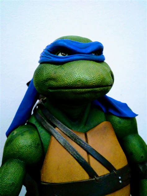 leader ninja turtle|who leads the ninja turtles.